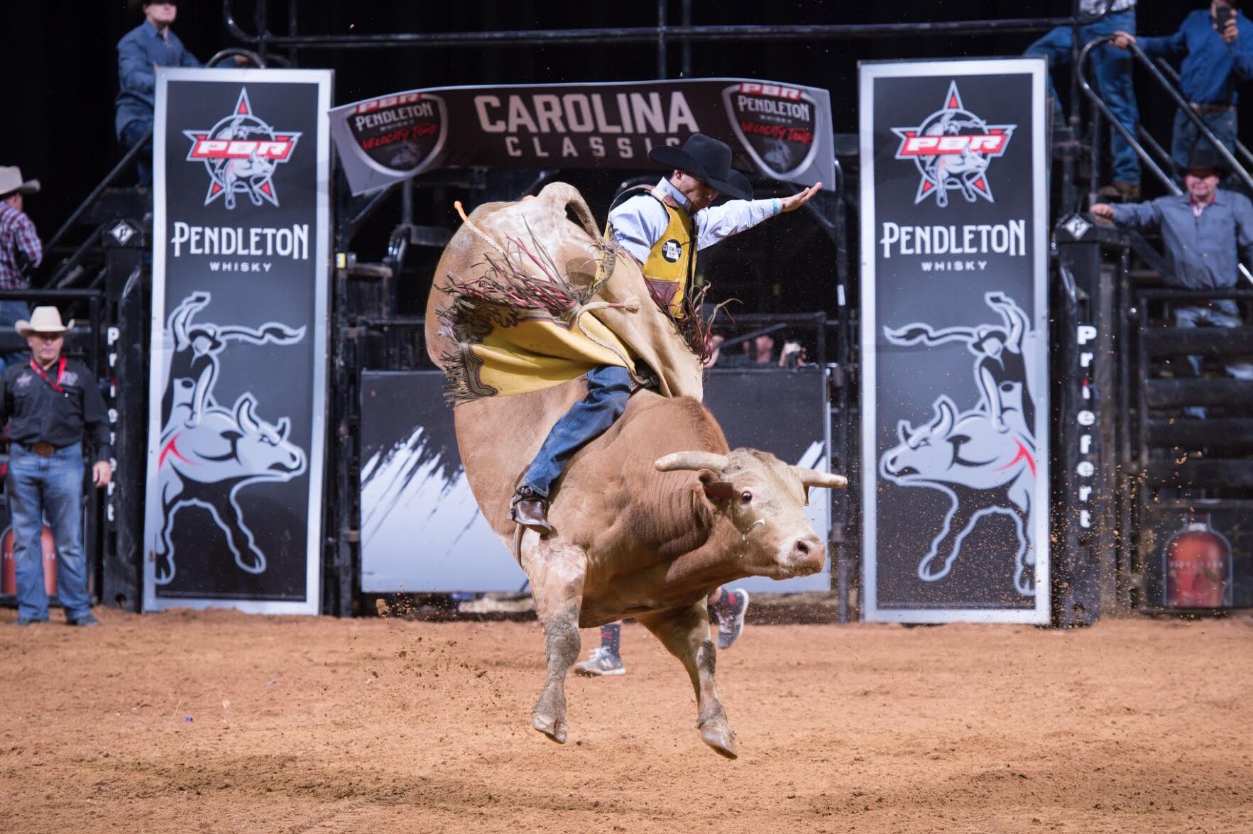 bull riding